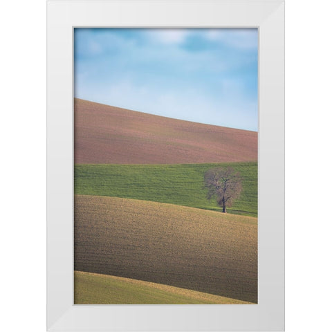 S.T. 025 White Modern Wood Framed Art Print by Gray, Dorian