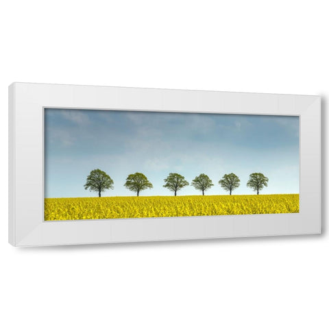 rape White Modern Wood Framed Art Print by Uhlig, Dieter