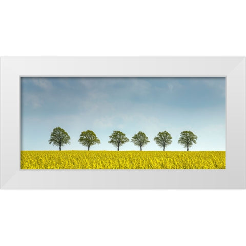 rape White Modern Wood Framed Art Print by Uhlig, Dieter