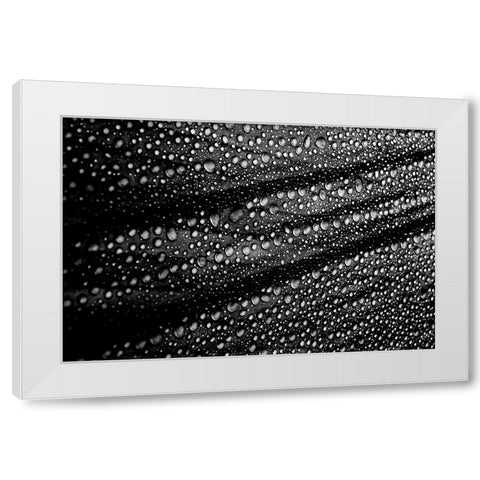 Cultured Rain Pearls White Modern Wood Framed Art Print by Ciappara Lrps., Simon