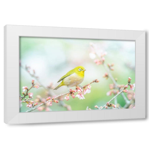 The Arrival of Spring White Modern Wood Framed Art Print by Suzuki, Takashi