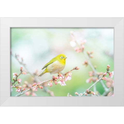 The Arrival of Spring White Modern Wood Framed Art Print by Suzuki, Takashi