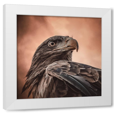 And His Eyes Saw Everything.... White Modern Wood Framed Art Print by Worseling, Natascha