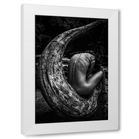 Wild White Modern Wood Framed Art Print by Mannini, Roberto