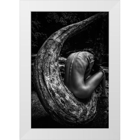 Wild White Modern Wood Framed Art Print by Mannini, Roberto