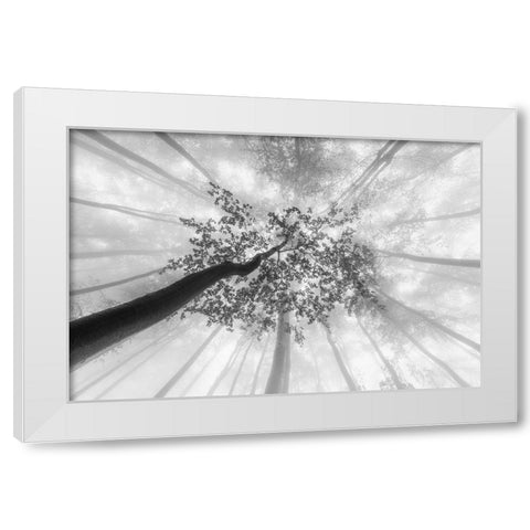 Spring foggy views White Modern Wood Framed Art Print by Pavlasek, Tom