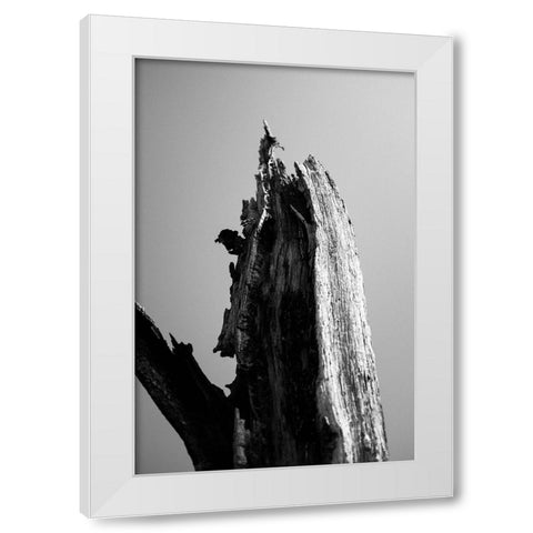 Wetlands 1 White Modern Wood Framed Art Print by Perry, Lewis