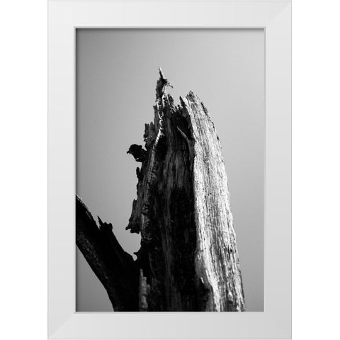 Wetlands 1 White Modern Wood Framed Art Print by Perry, Lewis