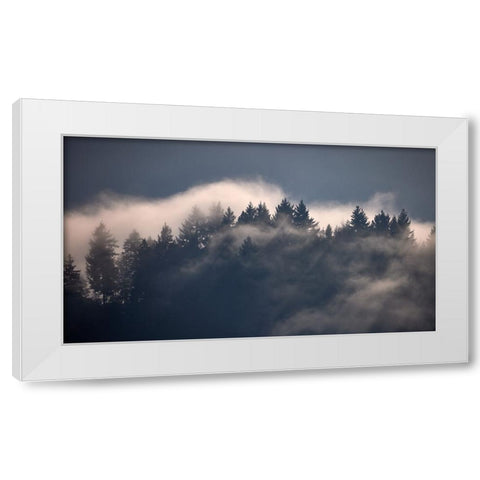 Black Forest I White Modern Wood Framed Art Print by Schade, Peter