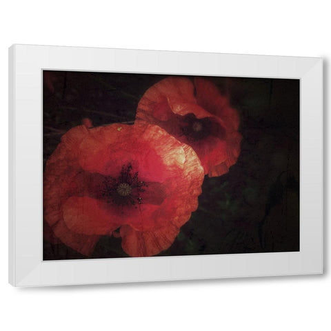 Blood thirsty Poppies White Modern Wood Framed Art Print by Margau, Delphine