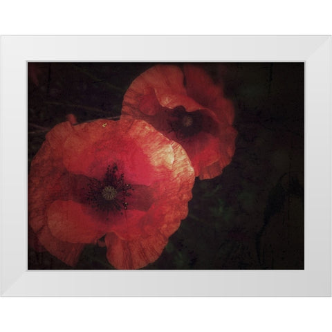 Blood thirsty Poppies White Modern Wood Framed Art Print by Margau, Delphine