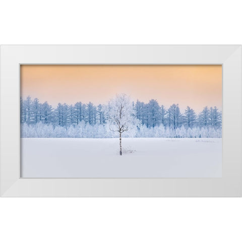 Guardian of the Angel Forest White Modern Wood Framed Art Print by Sono, Hidenori