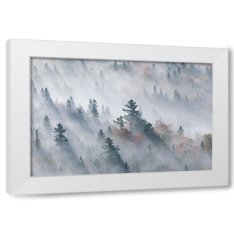 The Fog of Silence, The Fog of Illusion White Modern Wood Framed Art Print by Zhao, Jennifer