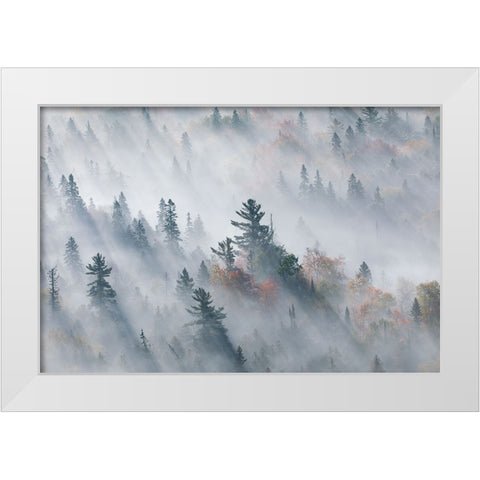 The Fog of Silence, The Fog of Illusion White Modern Wood Framed Art Print by Zhao, Jennifer