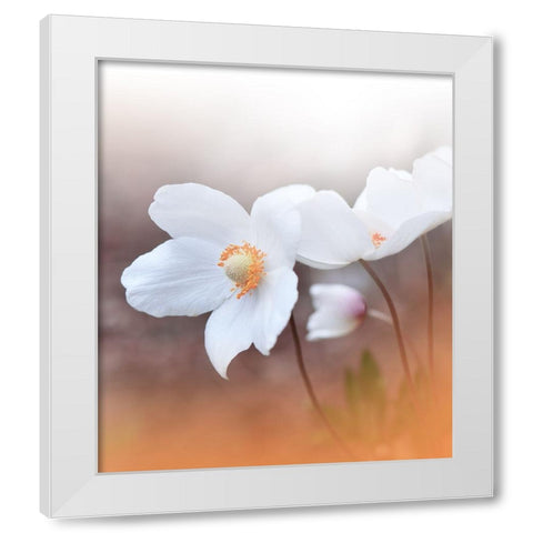 The Sound Of Innocence.. White Modern Wood Framed Art Print by Nan, Juliana