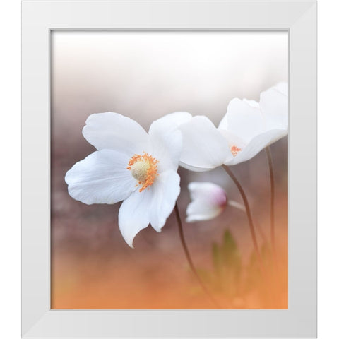 The Sound Of Innocence.. White Modern Wood Framed Art Print by Nan, Juliana