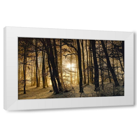 Winter Morning White Modern Wood Framed Art Print by Maier, Norbert