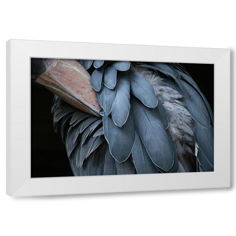 Feather White Modern Wood Framed Art Print by Aoki, Juri
