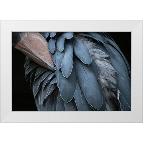 Feather White Modern Wood Framed Art Print by Aoki, Juri