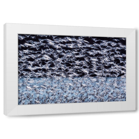 To the Arctic White Modern Wood Framed Art Print by Guo, Liwen