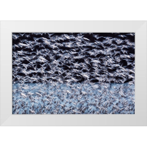 To the Arctic White Modern Wood Framed Art Print by Guo, Liwen