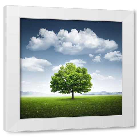 Lone tree White Modern Wood Framed Art Print by Hamiti, Bess