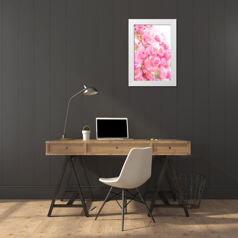 Rose White Modern Wood Framed Art Print by Kazumasa, Kondou