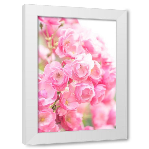 Rose White Modern Wood Framed Art Print by Kazumasa, Kondou