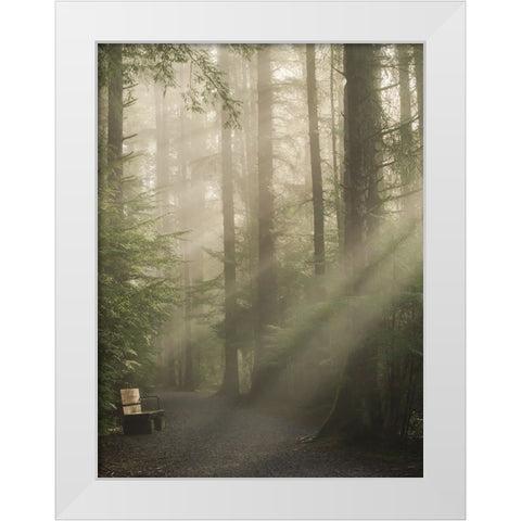 Untitled White Modern Wood Framed Art Print by Saito, Misaki