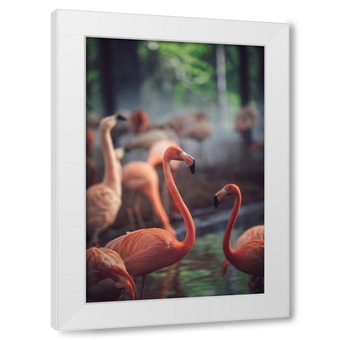 Flamingo White Modern Wood Framed Art Print by Dayvee