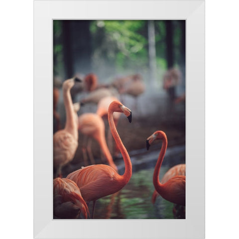 Flamingo White Modern Wood Framed Art Print by Dayvee