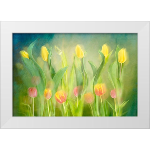 Dancing tulips White Modern Wood Framed Art Print by Van Son, Greetje