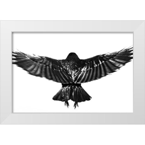 flying. White Modern Wood Framed Art Print by Hisamitsu, Yuusuke