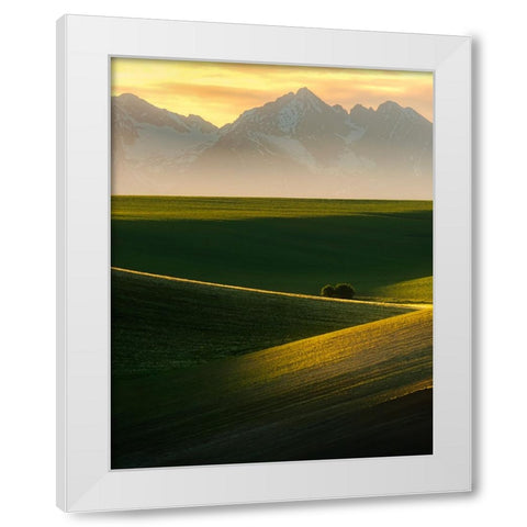 Spring sunset White Modern Wood Framed Art Print by Ilkovic, David
