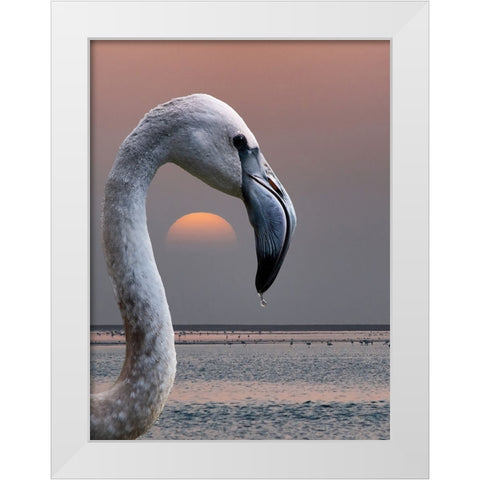 This Is My World White Modern Wood Framed Art Print by Guillemot, Mathilde