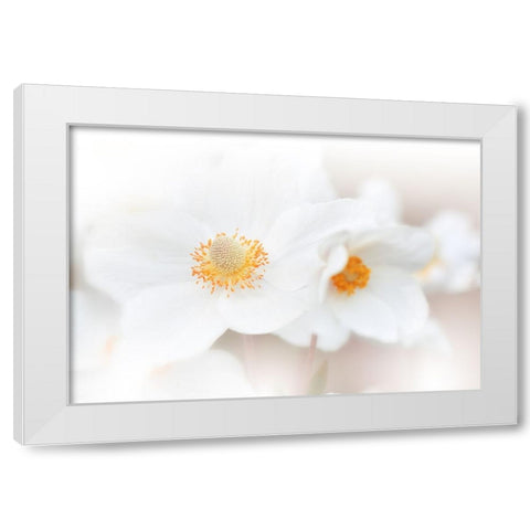 Her Name Is Love...Iii White Modern Wood Framed Art Print by Nan, Juliana