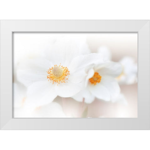 Her Name Is Love...Iii White Modern Wood Framed Art Print by Nan, Juliana