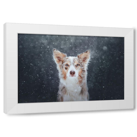 Blizzard White Modern Wood Framed Art Print by Shandor, Ve