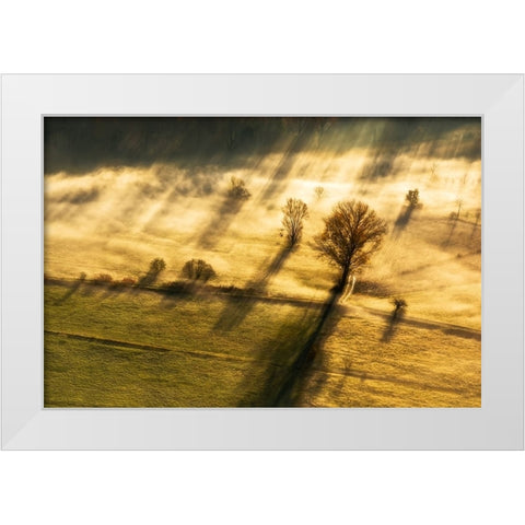 Spirito inquieto White Modern Wood Framed Art Print by Pietro, Biffi