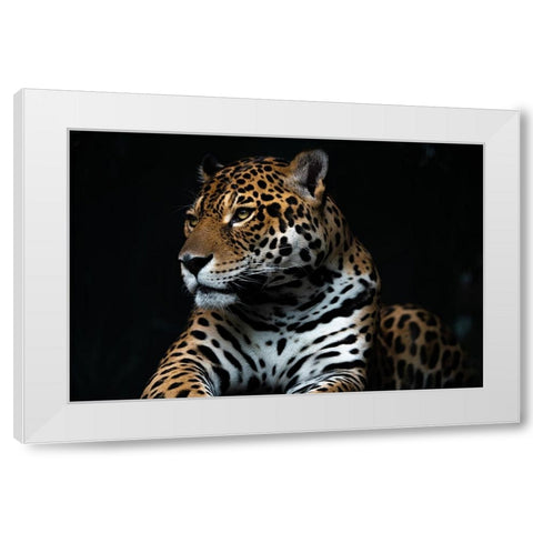 Captive wild White Modern Wood Framed Art Print by Yuya.T