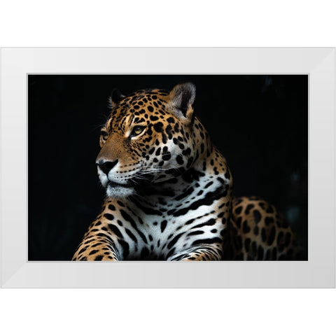 Captive wild White Modern Wood Framed Art Print by Yuya.T