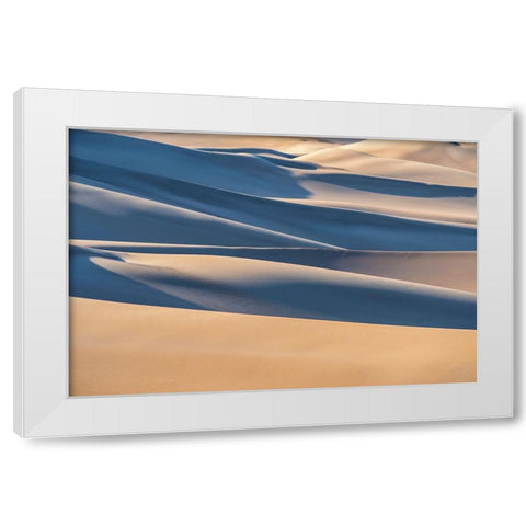 Desert White Modern Wood Framed Art Print by Razavi, Mahshad