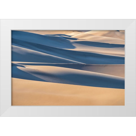 Desert White Modern Wood Framed Art Print by Razavi, Mahshad