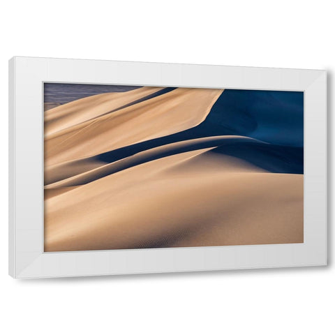 Desert White Modern Wood Framed Art Print by Razavi, Mahshad