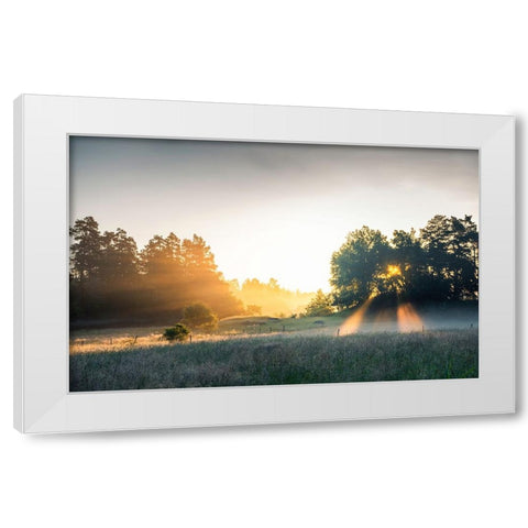 Summer field with sunrays White Modern Wood Framed Art Print by Lindsten, Christian