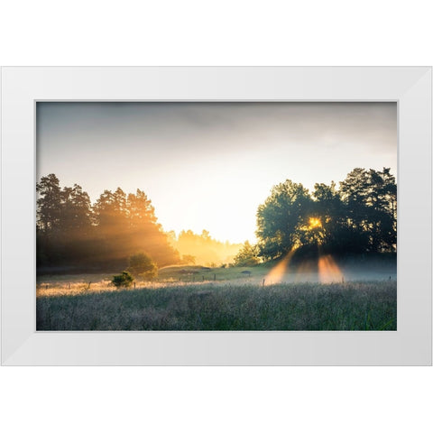 Summer field with sunrays White Modern Wood Framed Art Print by Lindsten, Christian