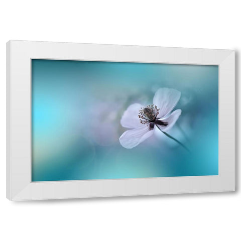 Walk Softly.. White Modern Wood Framed Art Print by Nan, Juliana