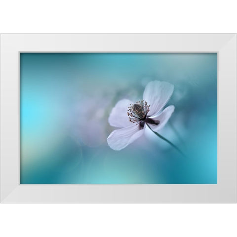 Walk Softly.. White Modern Wood Framed Art Print by Nan, Juliana
