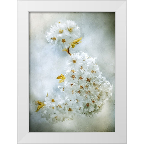 Cherry Blossoms White Modern Wood Framed Art Print by Zvinakeviciute, Kristina