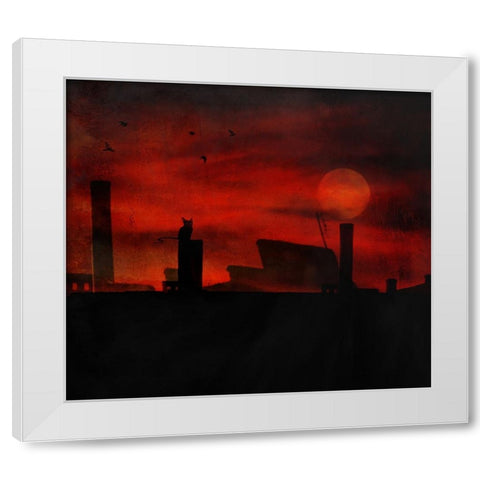 Cat Stories White Modern Wood Framed Art Print by Robert